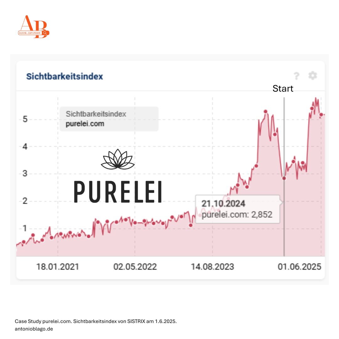 Kopie von Kopie von Kopie von Kopie von SEO Due diligince